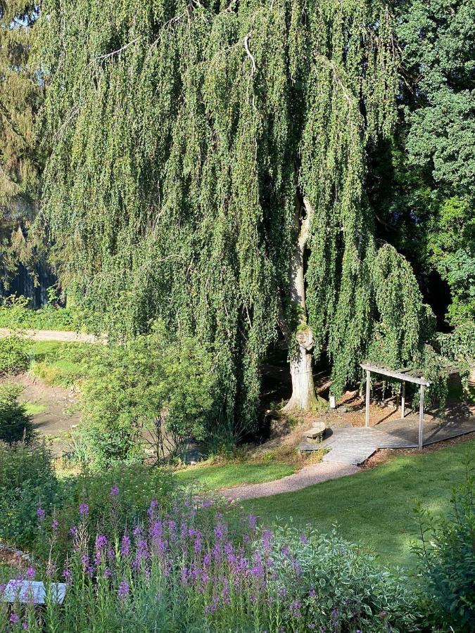 Parkhotel Villa Des Effats Vielsalm Bagian luar foto